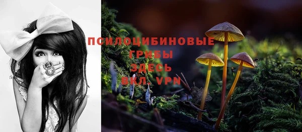 мескалин Алексеевка
