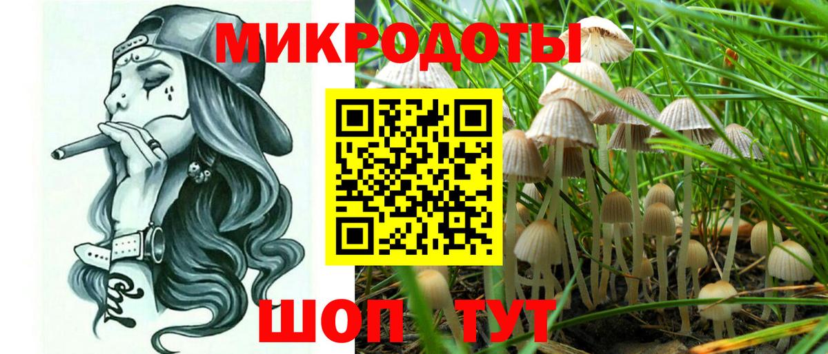 Галлюциногенные грибы Psilocybine cubensis Пенза