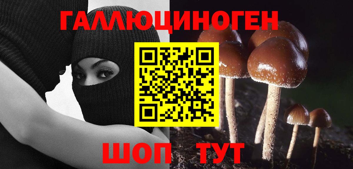 Псилоцибиновые грибы мухоморы  Псилоцибиновые грибы GOLDEN TEACHER  Вход с VPN  Пенза 
